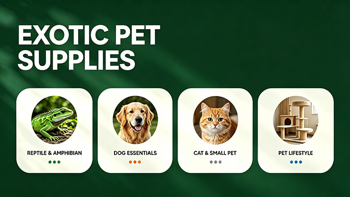 Pet Supplies